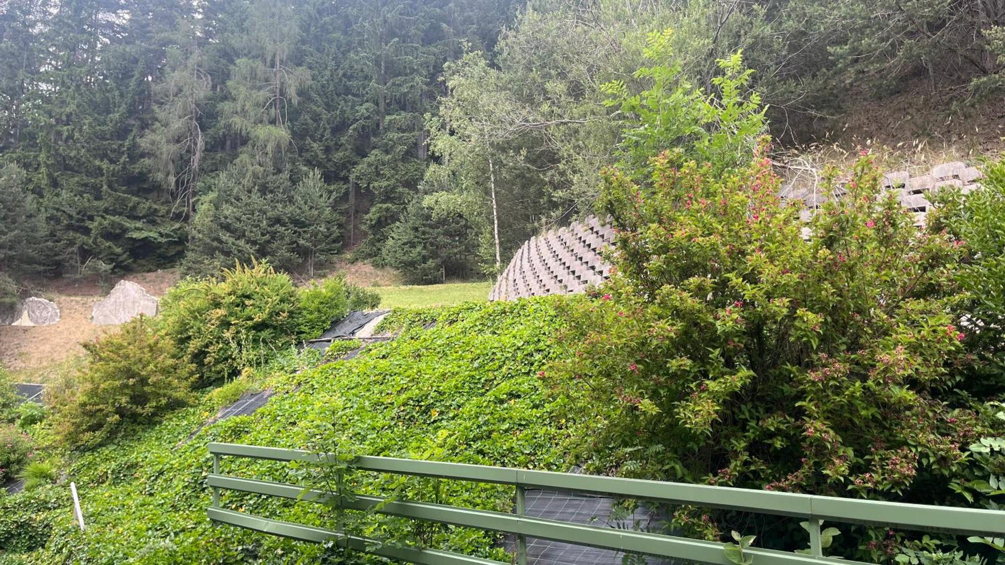 Hotel Saxl Campo di Trens Esterno foto